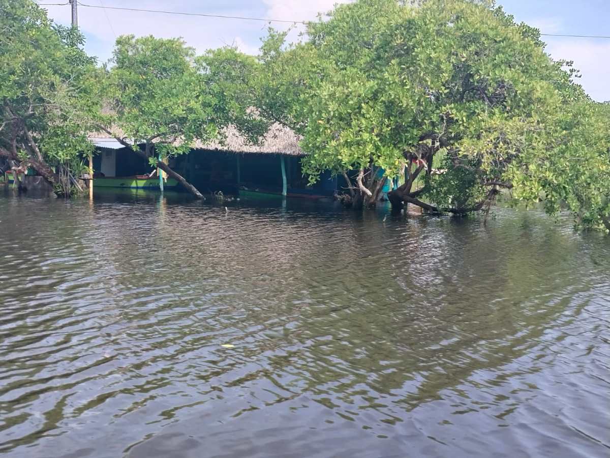 Inundaciones en Santa Rosa