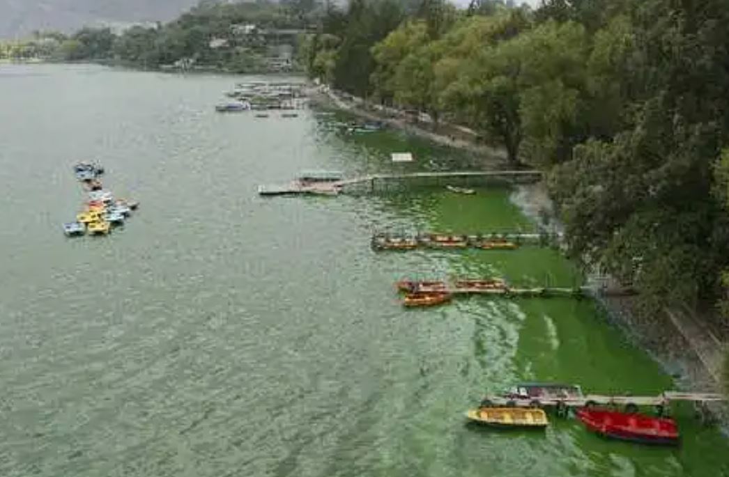 El Lago de Amatitlán se ve afectado por la contaminación. (Foto Prensa Libre: Hemeroteca PL) 

