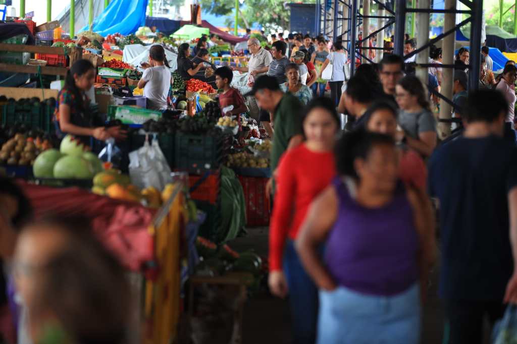 Mercado CENMA