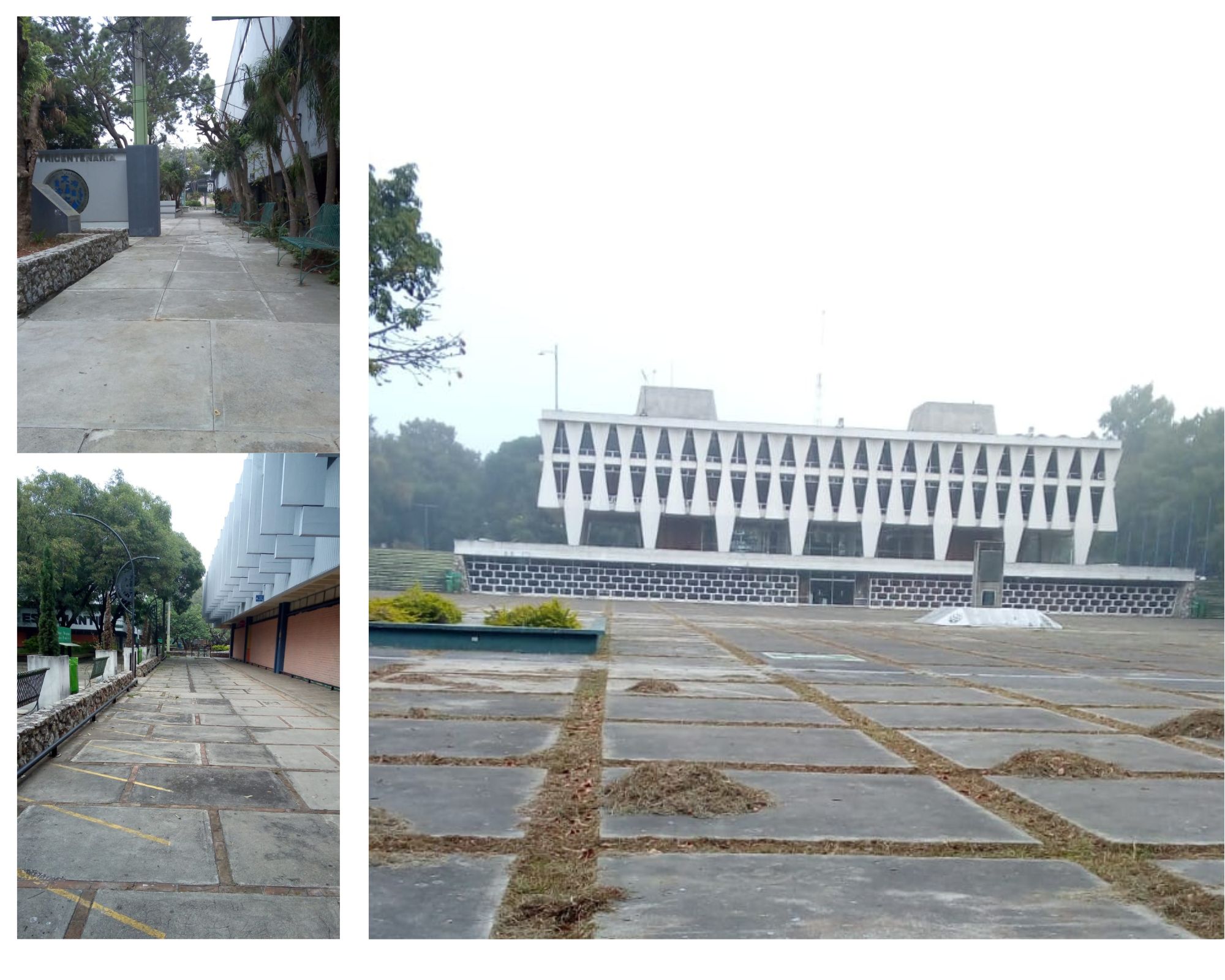 Así se encuentra el campus central de la Usac, los trabajos de recuperación del ornato están finalizados, según fotografías tomadas esta semana. (Fotos Prensa Libre: Cortesía)