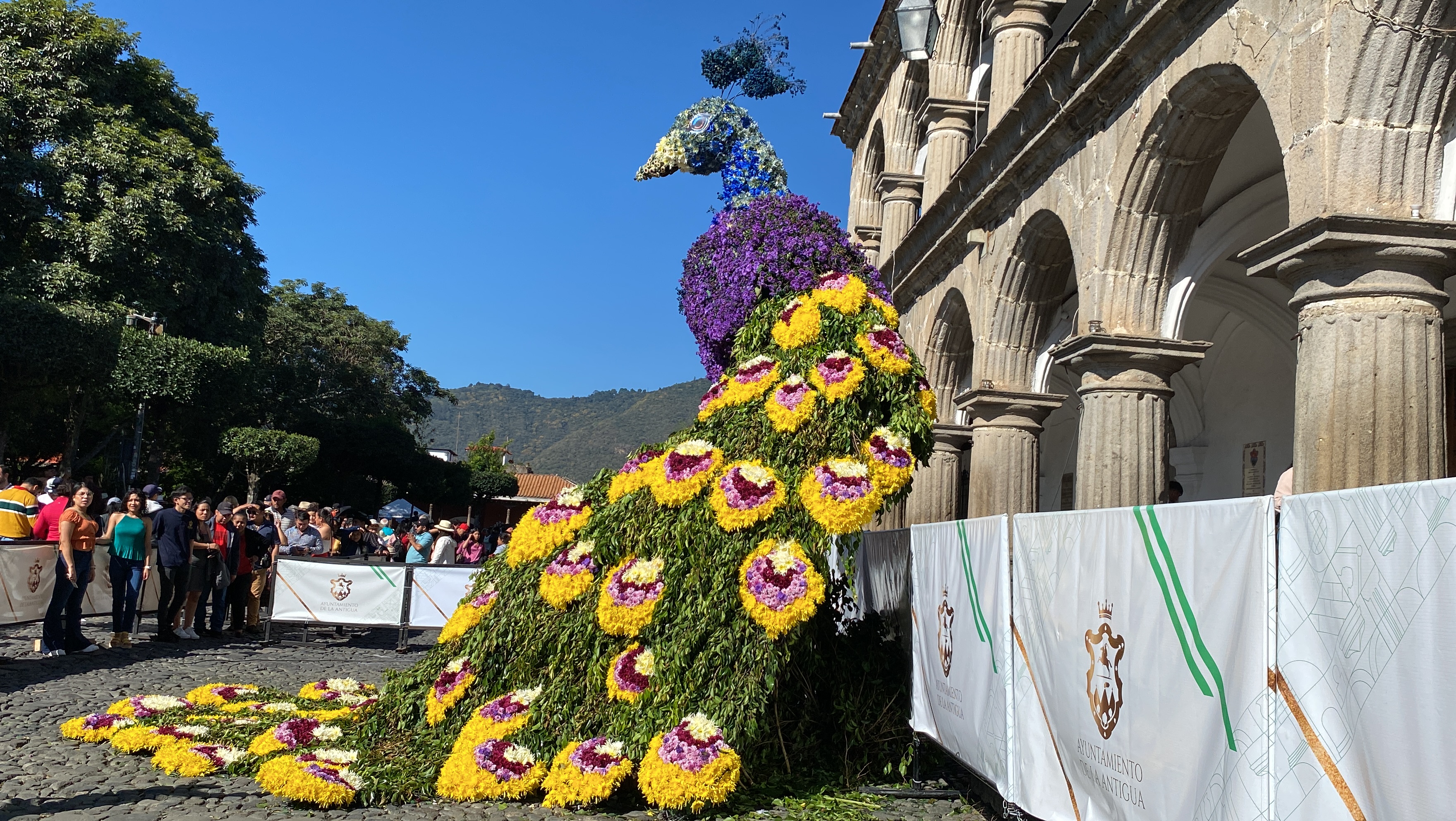 El aroma, el color de los arreglos florales dieron forma a las obras de arte expuestas en las fachadas de los comercios, monumentos, balcones, parques y calles de la Ciudad Colonial, en el septimo Festival de Las Flores. (Foto Prensa Libre: Emy Sánchez)