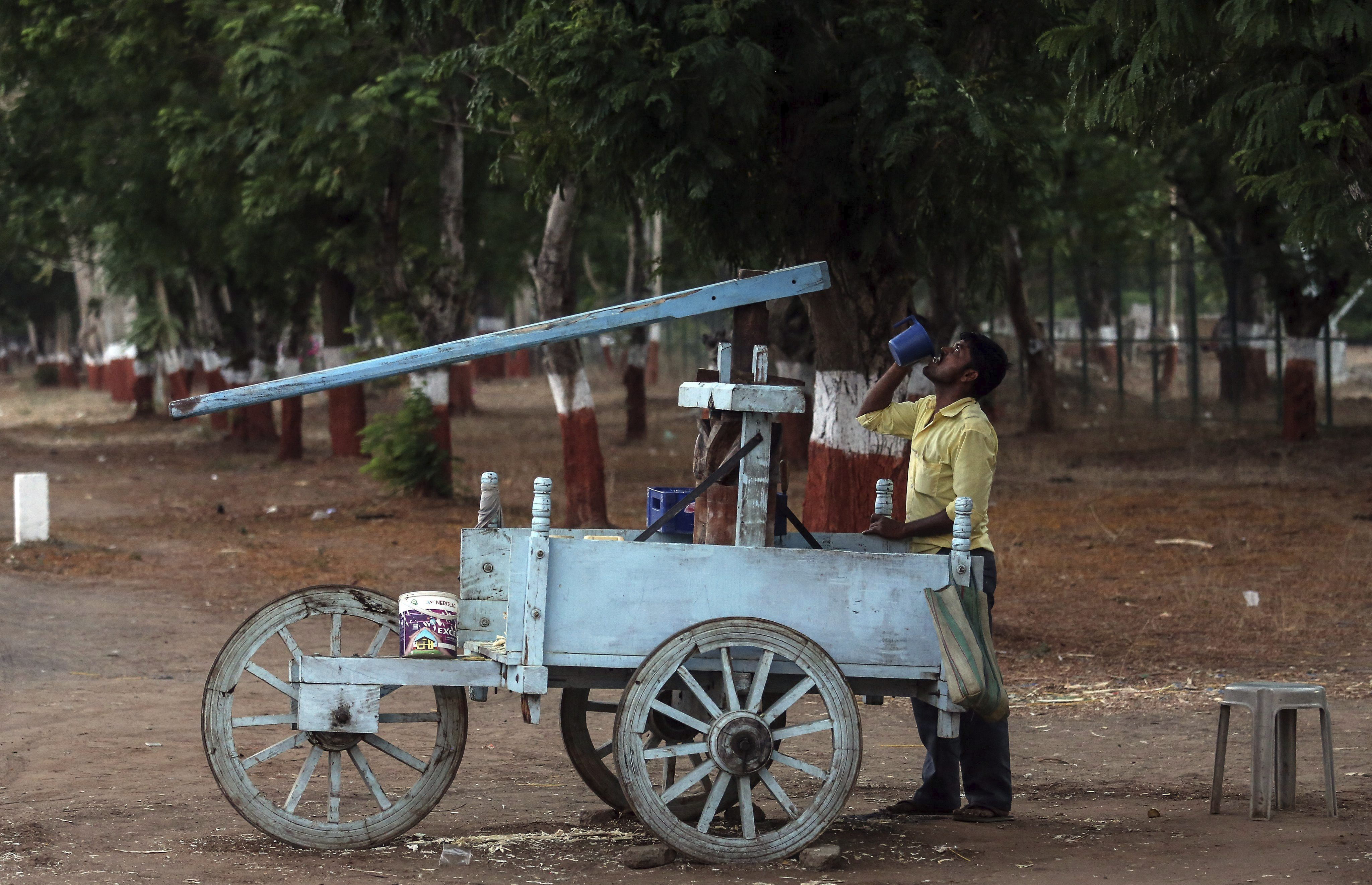 Varias regiones del mundo sufrieron en 2023 por las inéditas olas de calor.  (Foto Prensa Libre: EFE/Divyakant Solanki)