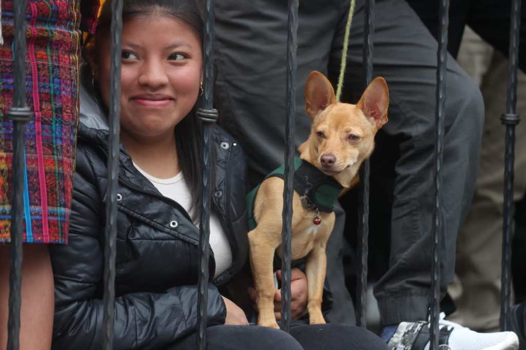 Algunas personas llegaron con sus mascotas.