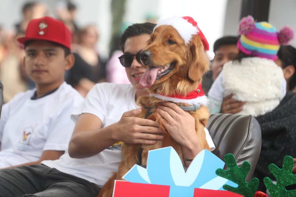 Algunas personas llegaron con sus mascotas.