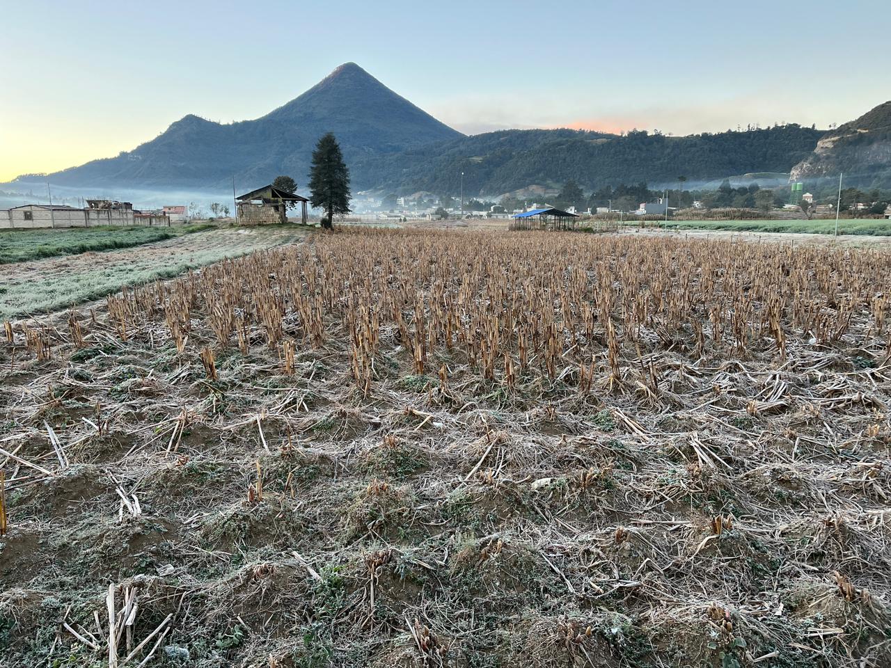 frio en guatemala heladas 20 diciembre 2023