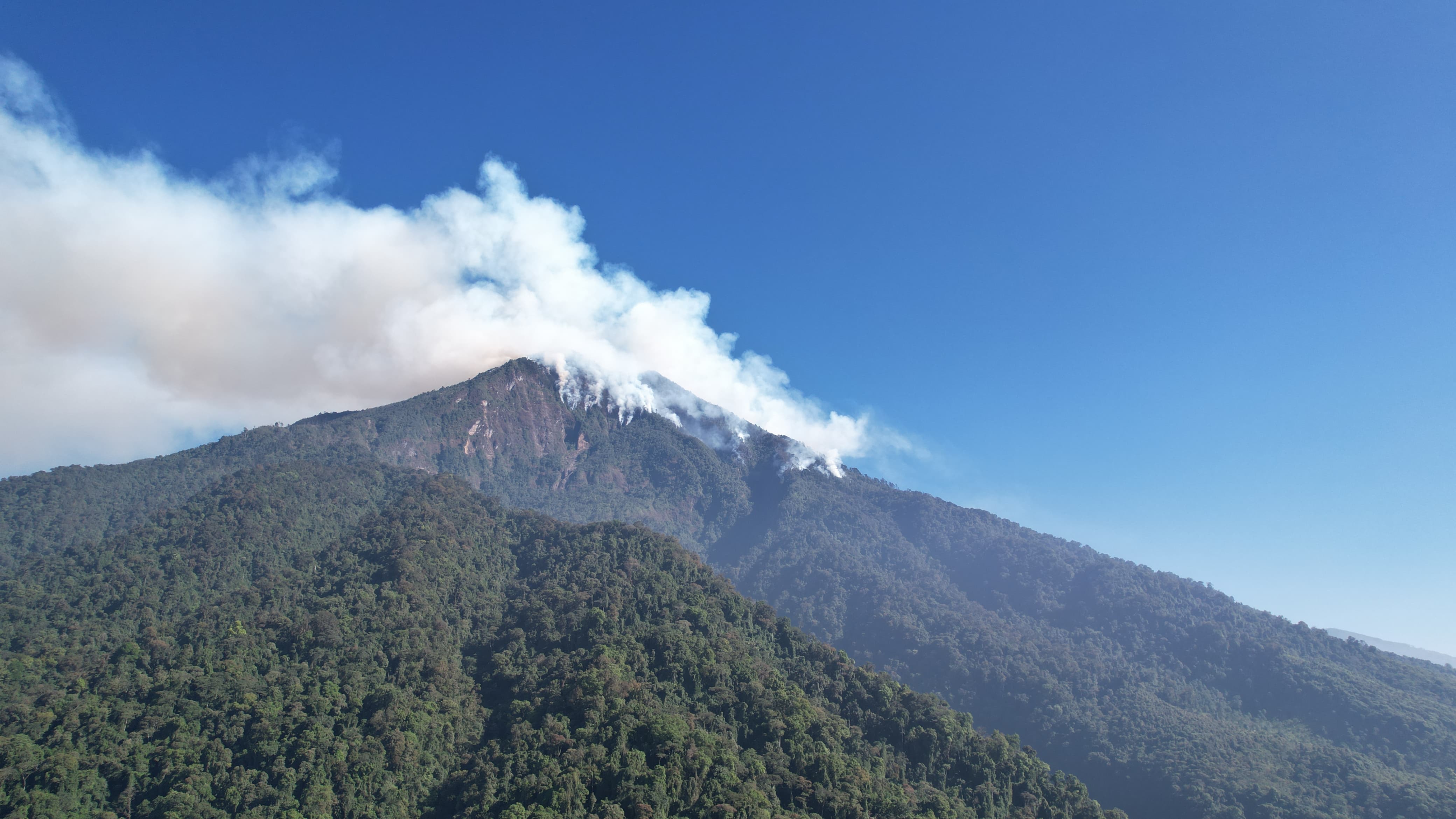 Grandes extensiones de áreas protegida del cerro Pecul, en Sololá, son afectadas por un incendio forestal. (Foto Prensa Libre: Conred)