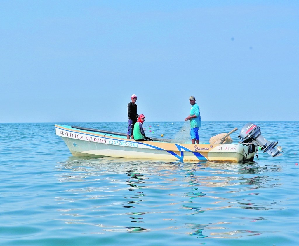 Aumento de temperaturas del océano - pesca