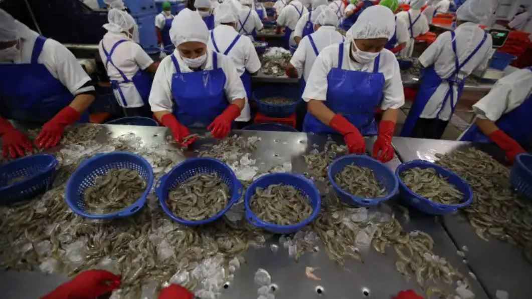 Camarones exportación a México cierra fronteras TLC Guatemala Centroamérica