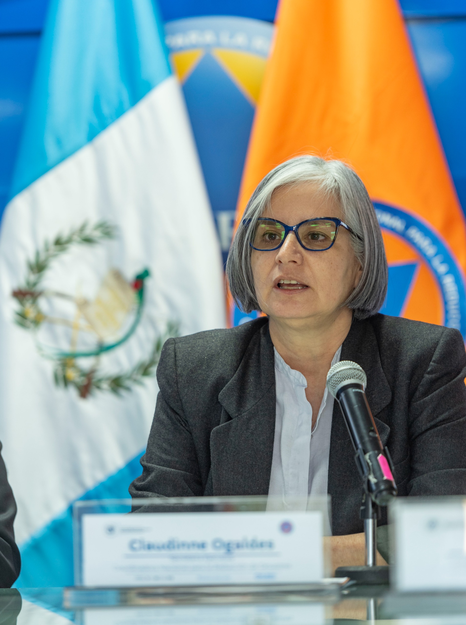 Claudinne Ogaldes dirigirá la Coordinadora Nacional para la Reducción de Desastres. (Foto Prensa Libre: Conred)