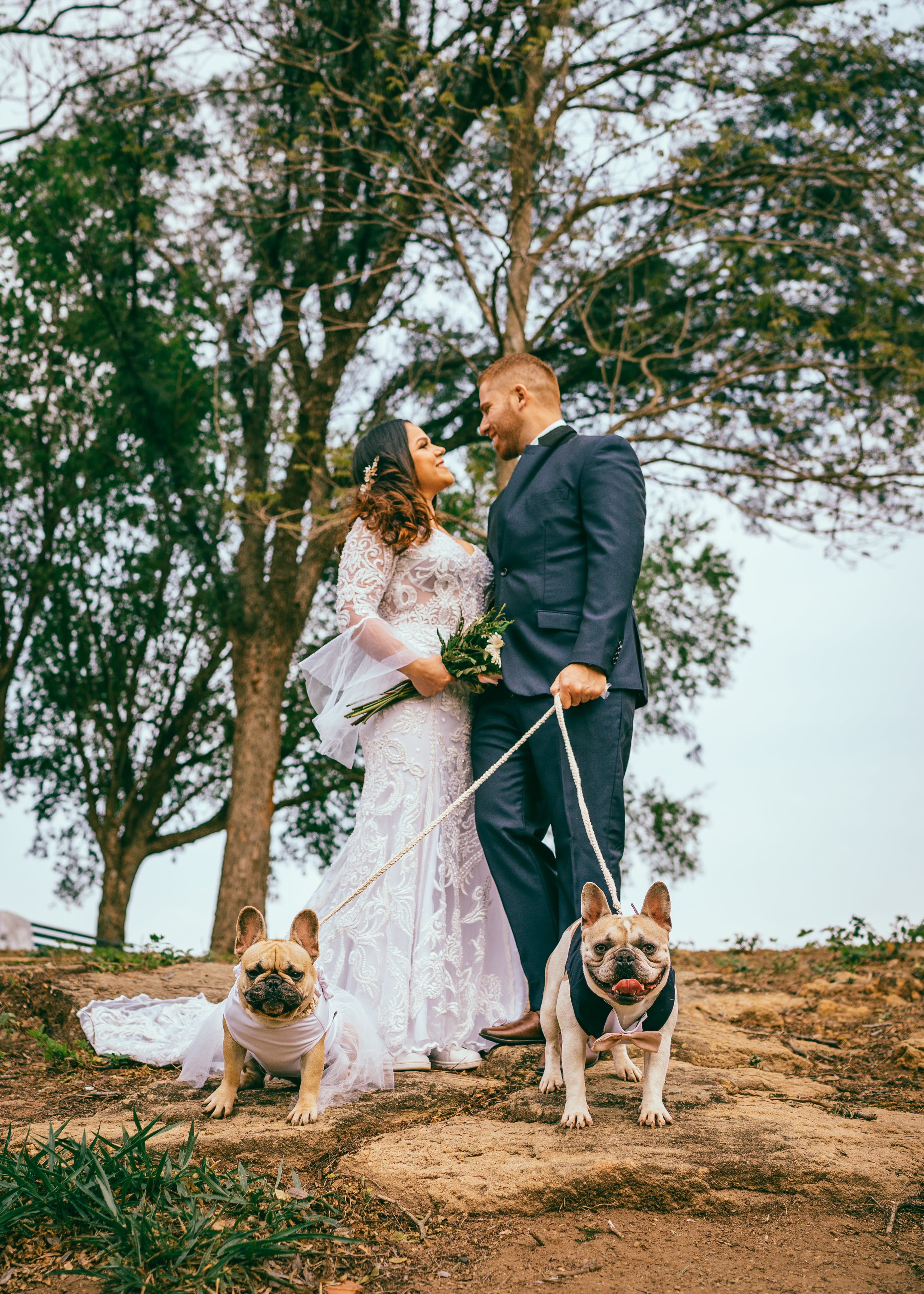 Fiestas caninas desde celebraciones de cumpleaños hasta perros que se casan