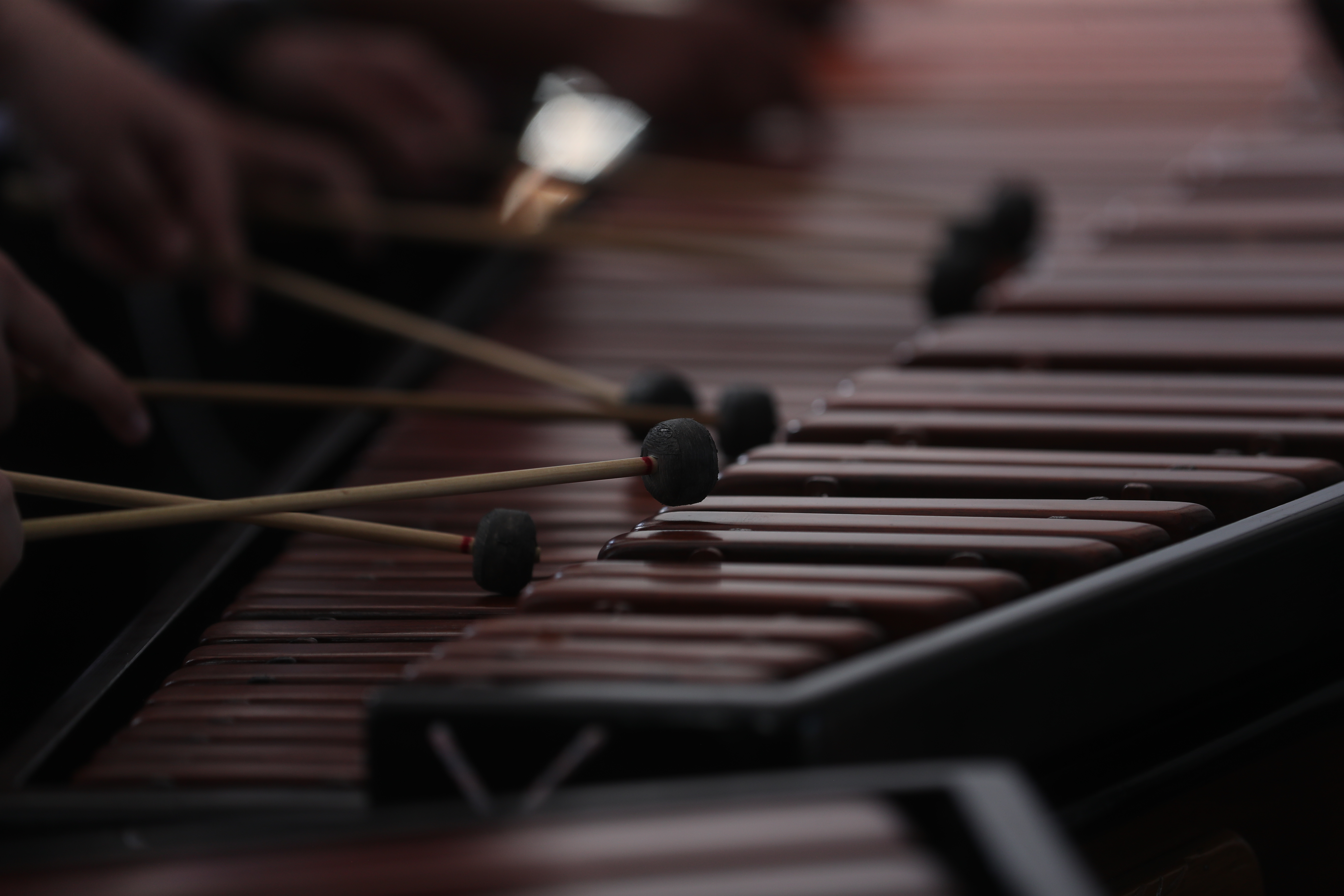 Habrá un ensamble de 25 marimbas en el marco de la celebración de la Revolución de octubre