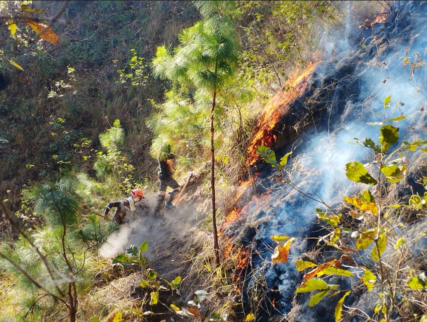 571 soldados de diferentes unidades están desplegados en ocho incendios, uno de los más significativos es el del volcán de Agua. (Foto Prensa Libre: Ejército de Guatemala)