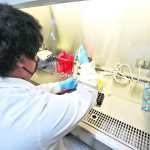 La investigación de las causas de la enfermedad neurológica aguda, son sospechas de del Síndrome de Guillain-Barré continúa. (Foto Prensa Libre: Hemeroteca PL)