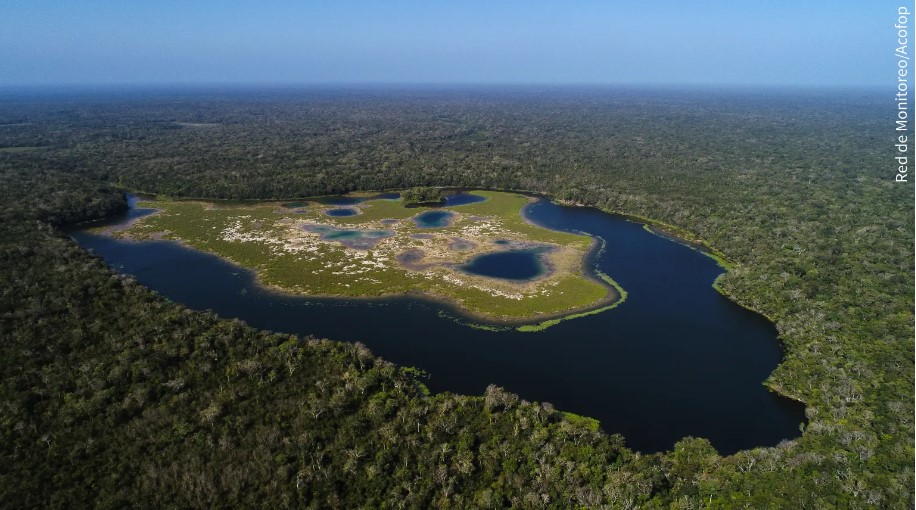 La Biósfera Maya es la mayor reserva natural del país. (Foto: Hemeroteca PL/ Cortesía Acofop)