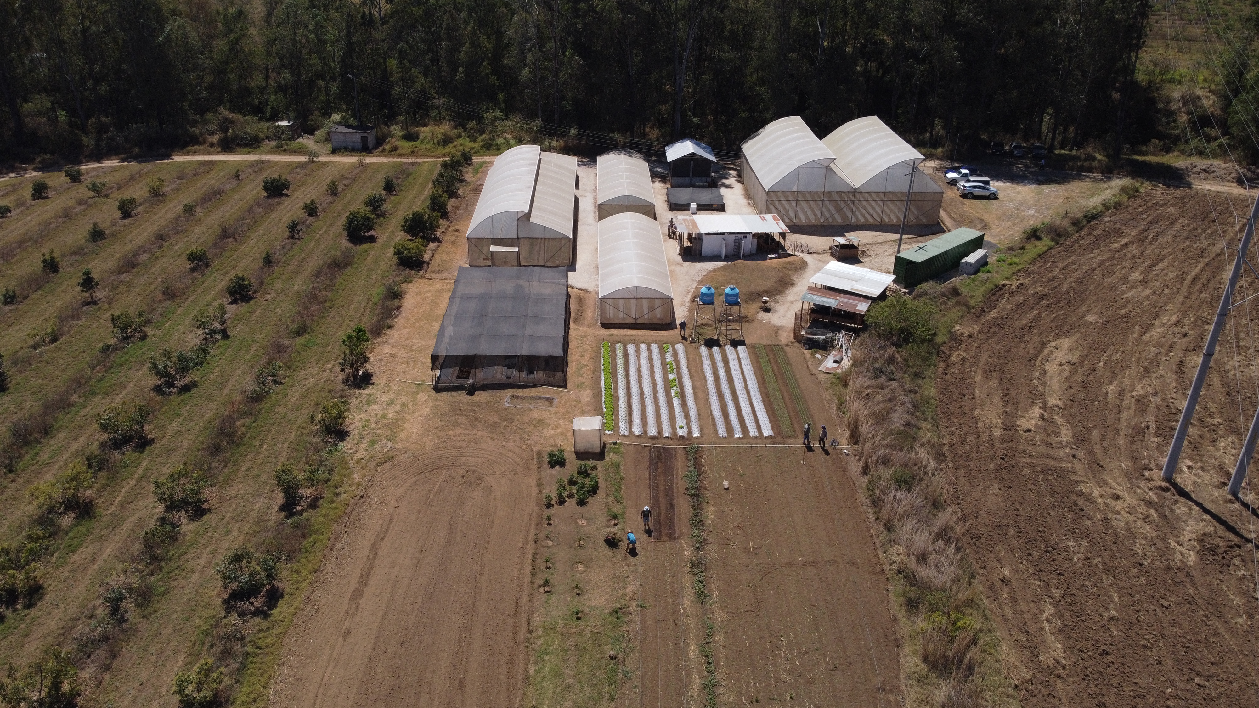 Tecnología israelí a la Enca se comparte a agricultores y estudiantes guatemaltecos.