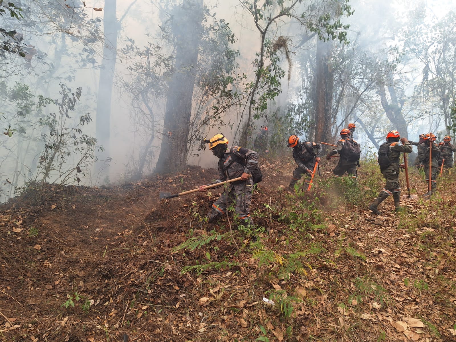 Plataforma de alerta temprana contra incendios forestales