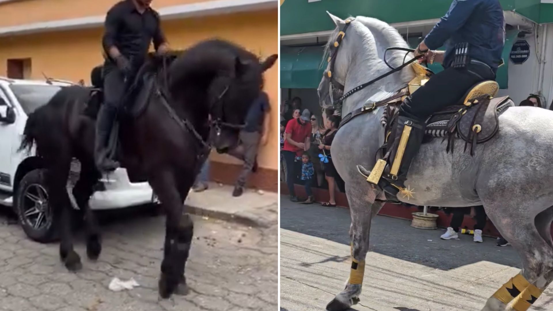 Desfile hípico Chiquimula