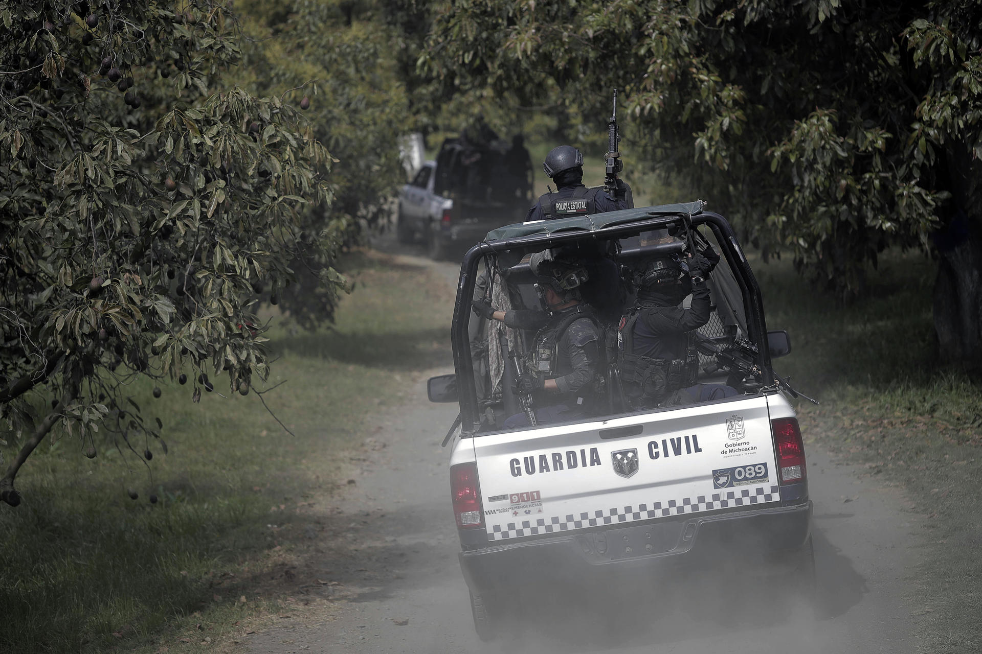 Policía Michoacán