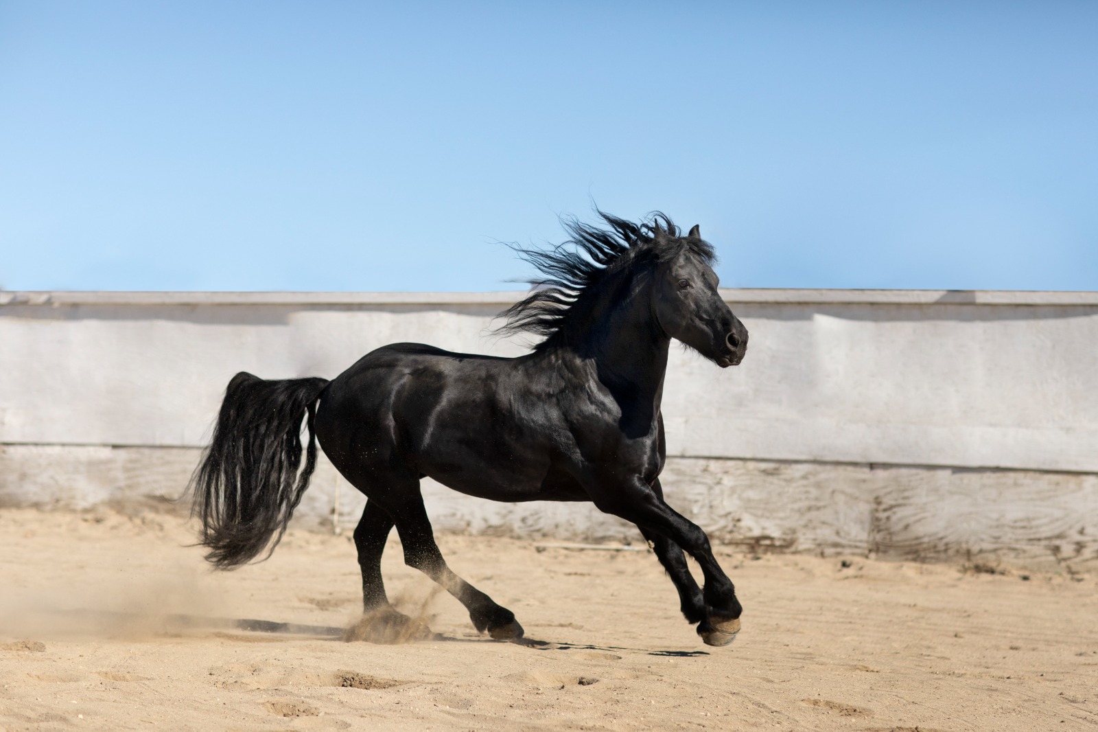 Caballos del Ejército británico corrían descontrolados por las calles de Londres. (Foto Prensa Libre: Freepik)