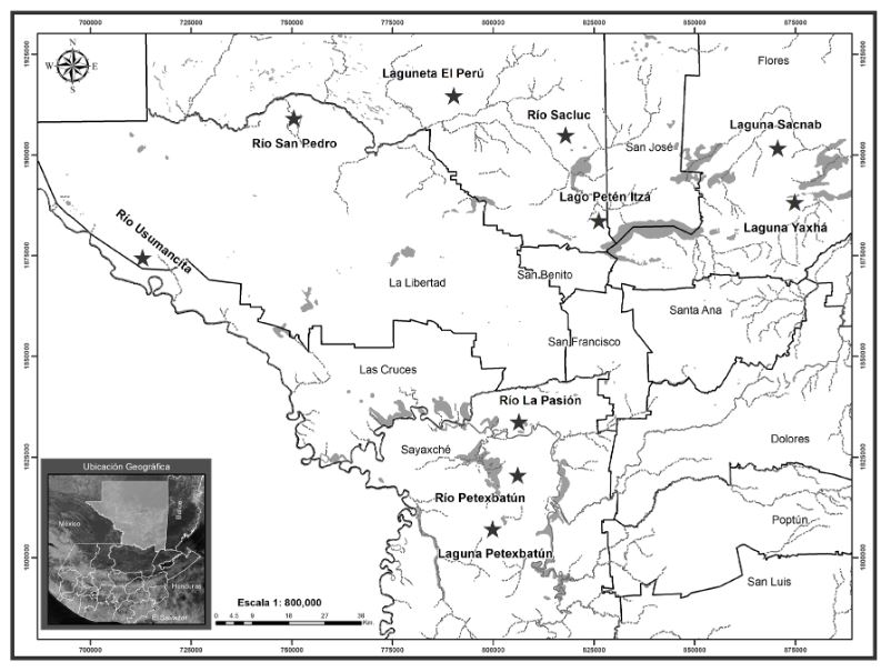 Cocodrilos en Petén Guatemala