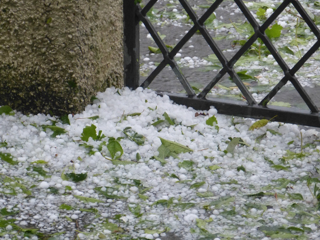 El granizo registrado en Nuevo León causó daño en decenas de vehículos.