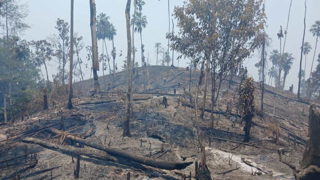 Incendio Sierra de las Minas 22 de mayo 2024 (2)