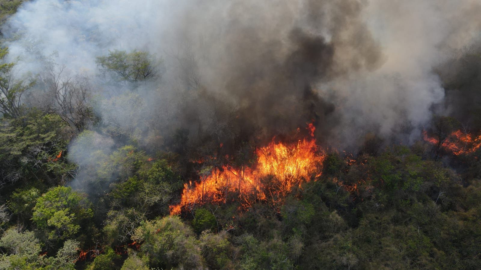 Incendios forestales Petén