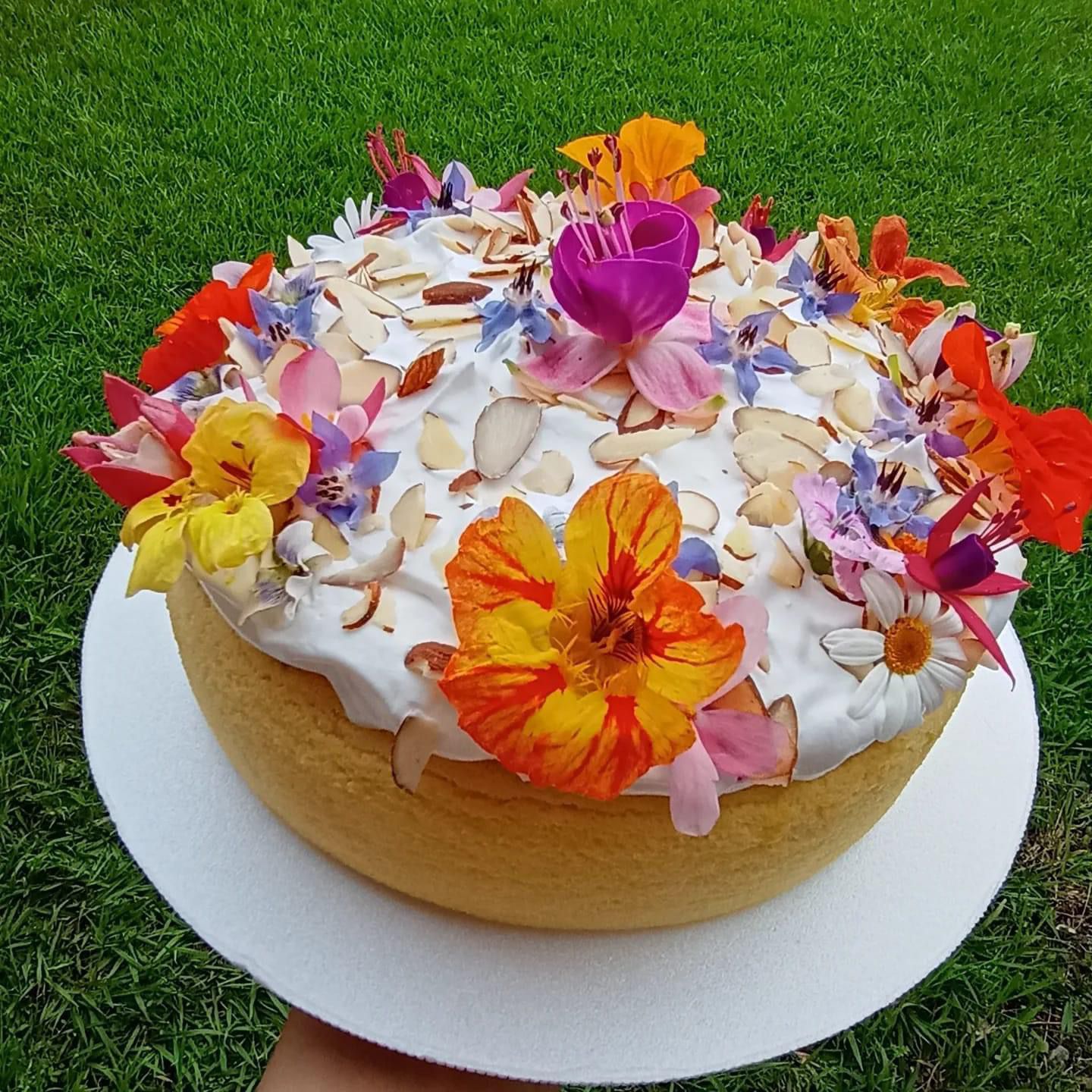 Paladar internacional: japanese cheesecake