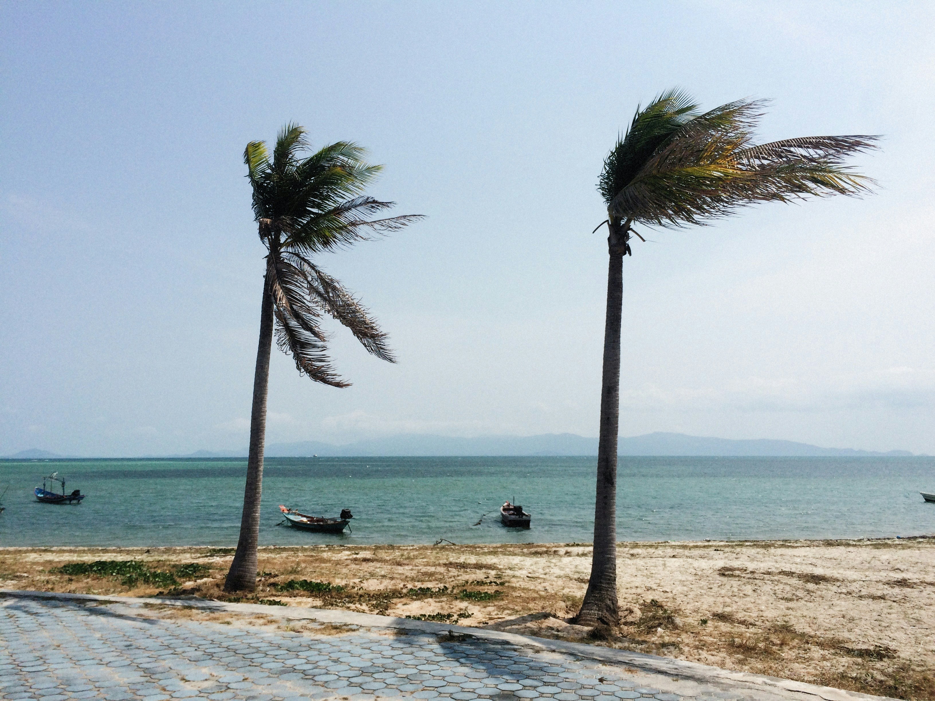 La temporada de huracanes en el Atlántico podría ser la peor en décadas, según científicos. (Foto Prensa Libre: Unsplash)