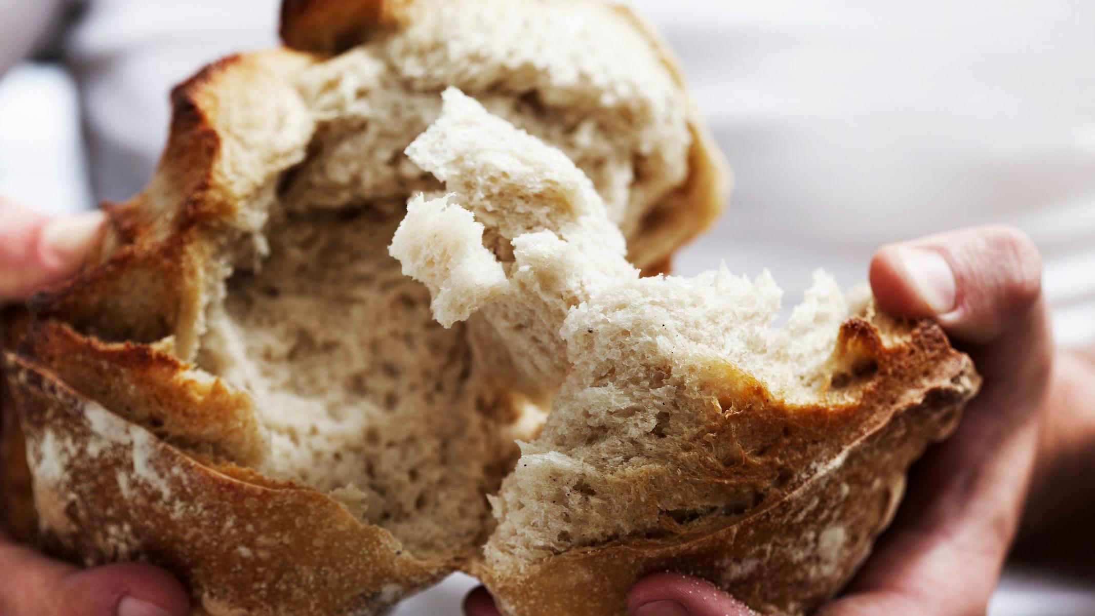 El pan integral se elabora con harina molida a partir del grano entero. El pan blanco utiliza sólo el endospermo del grano.

Getty Images