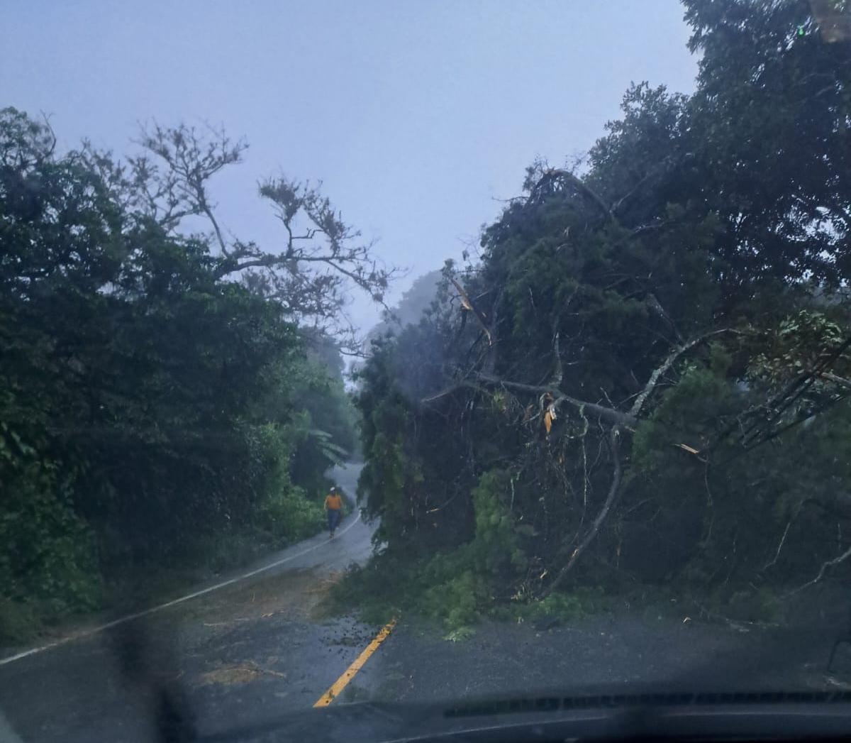 Varios incidentes se registran en Guatemala este 21 de junio por la lluvia. (Foto Prensa Libre: Conred)