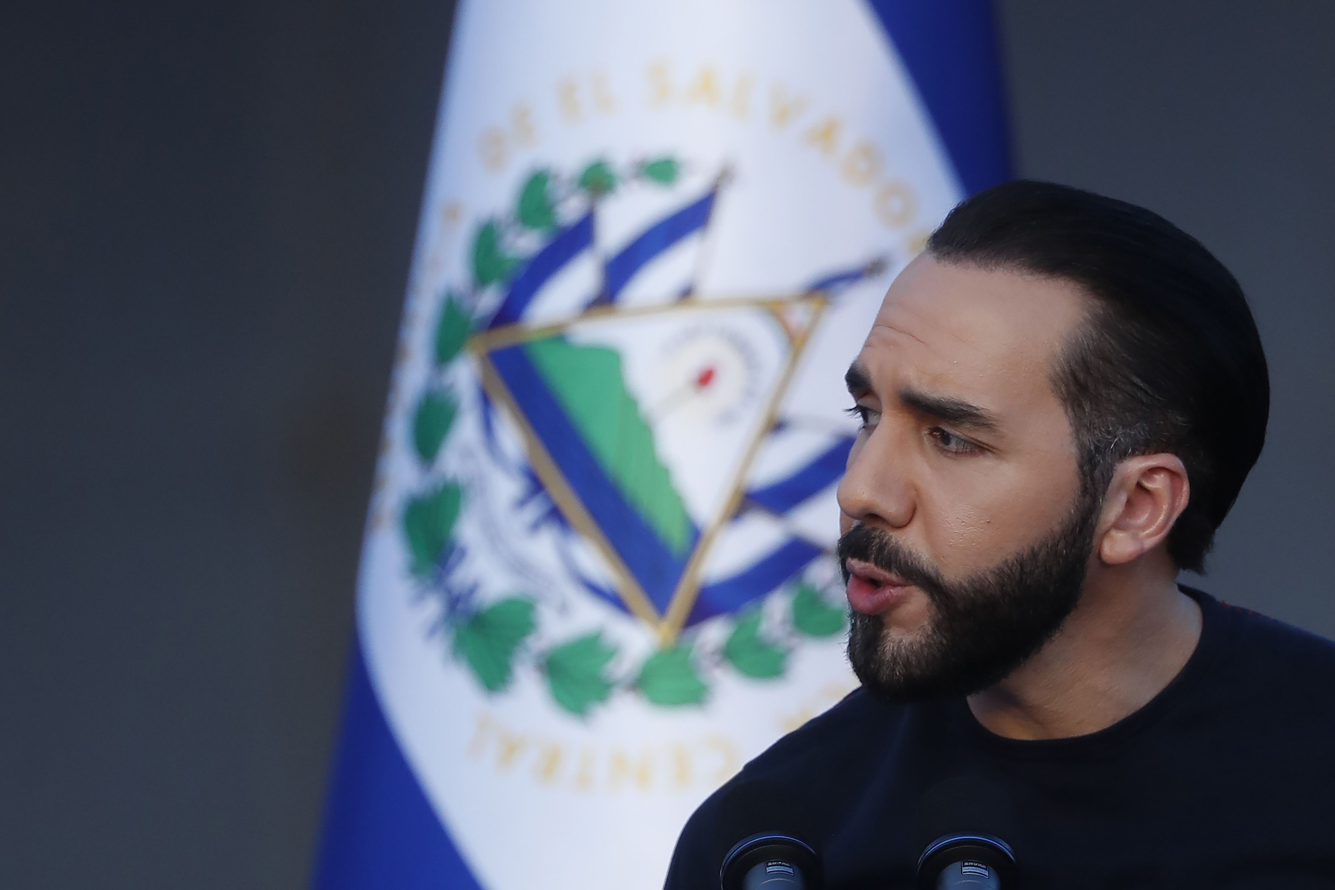 Nayib Bukele