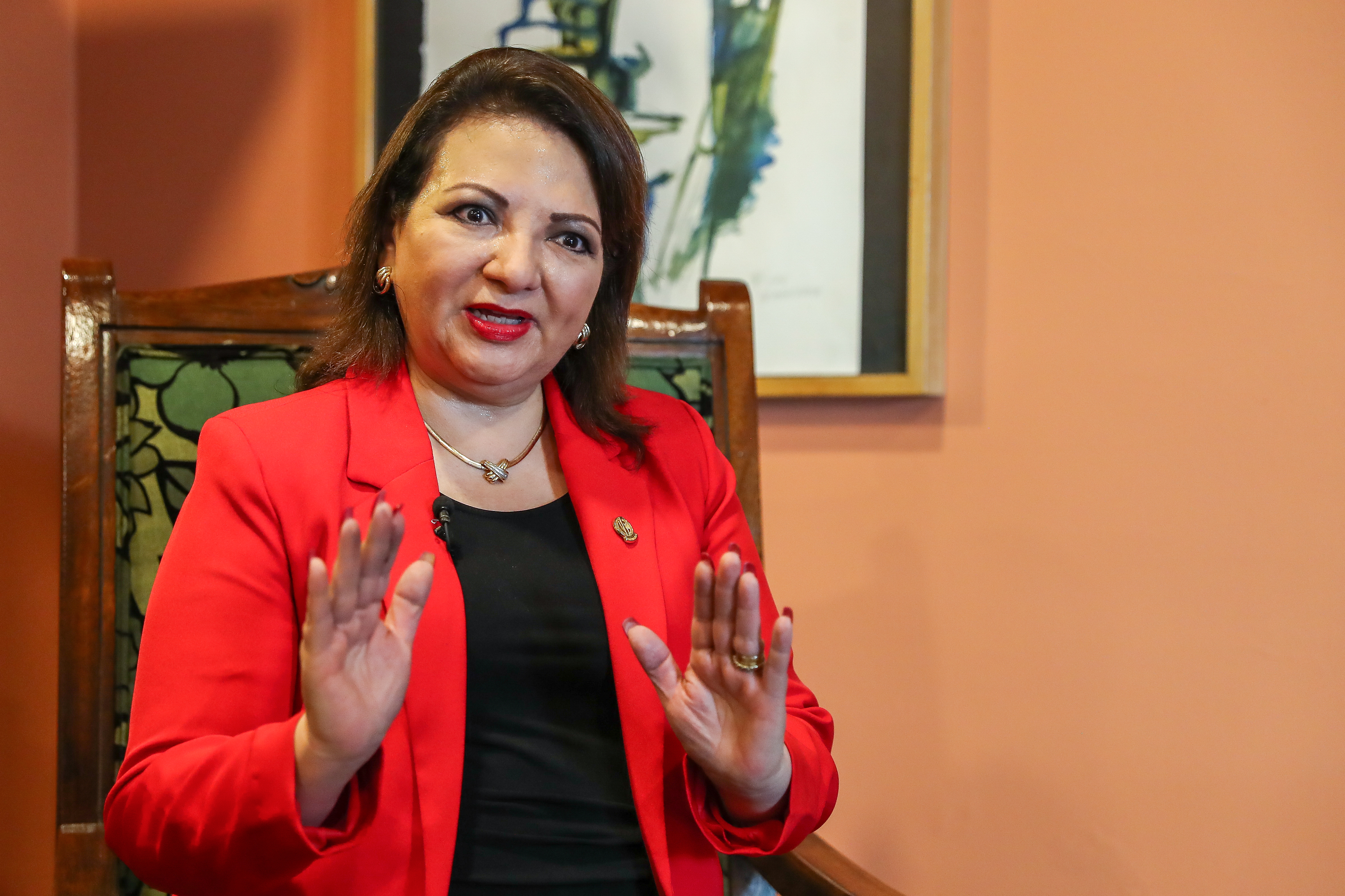 María de los Ángeles Soberanis, presidenta del Benemérito Comité Pro Ciegos y Sordos de Guatemala,   afirma que en  Latinoamérica aún se tienen que dar muchos avances para que las personas con discapacidad sean consideradas sujetos de derecho y no objetos. (Foto Prensa Libre: EFE/ José Jácome)