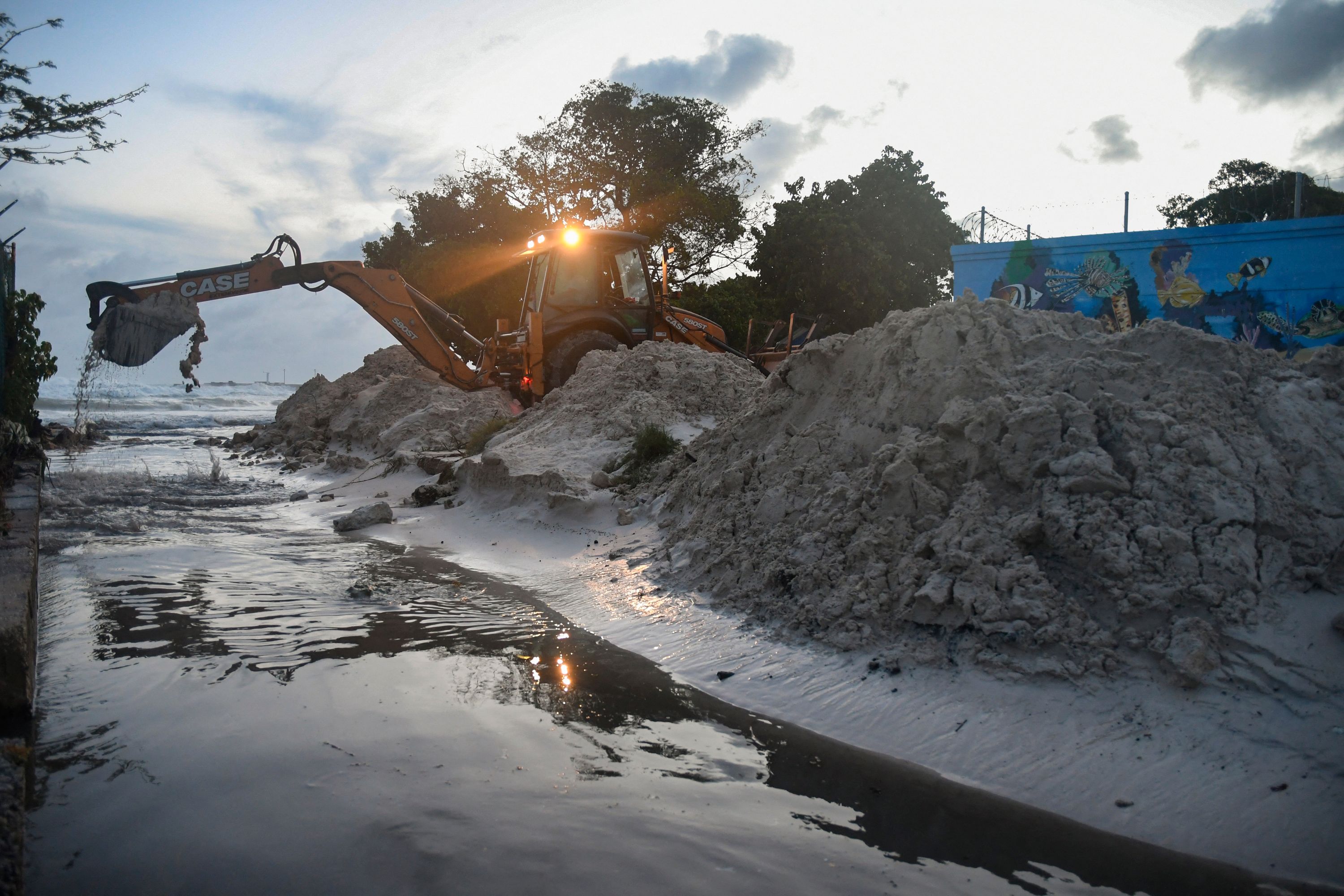 Personal del Ministerio de Transporte, Obras e Infraestructura de Barbados lleva a cabo operaciones de limpieza tras el paso del huracán Beryl en Christ Church. (Foto Prensa Libre: Randy Brooks/AFP)