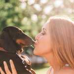 En un estudio reciente sobre el impacto del estrés de los dueños en los perros, investigadores realizaron pruebas meticulosas en varias sesiones.