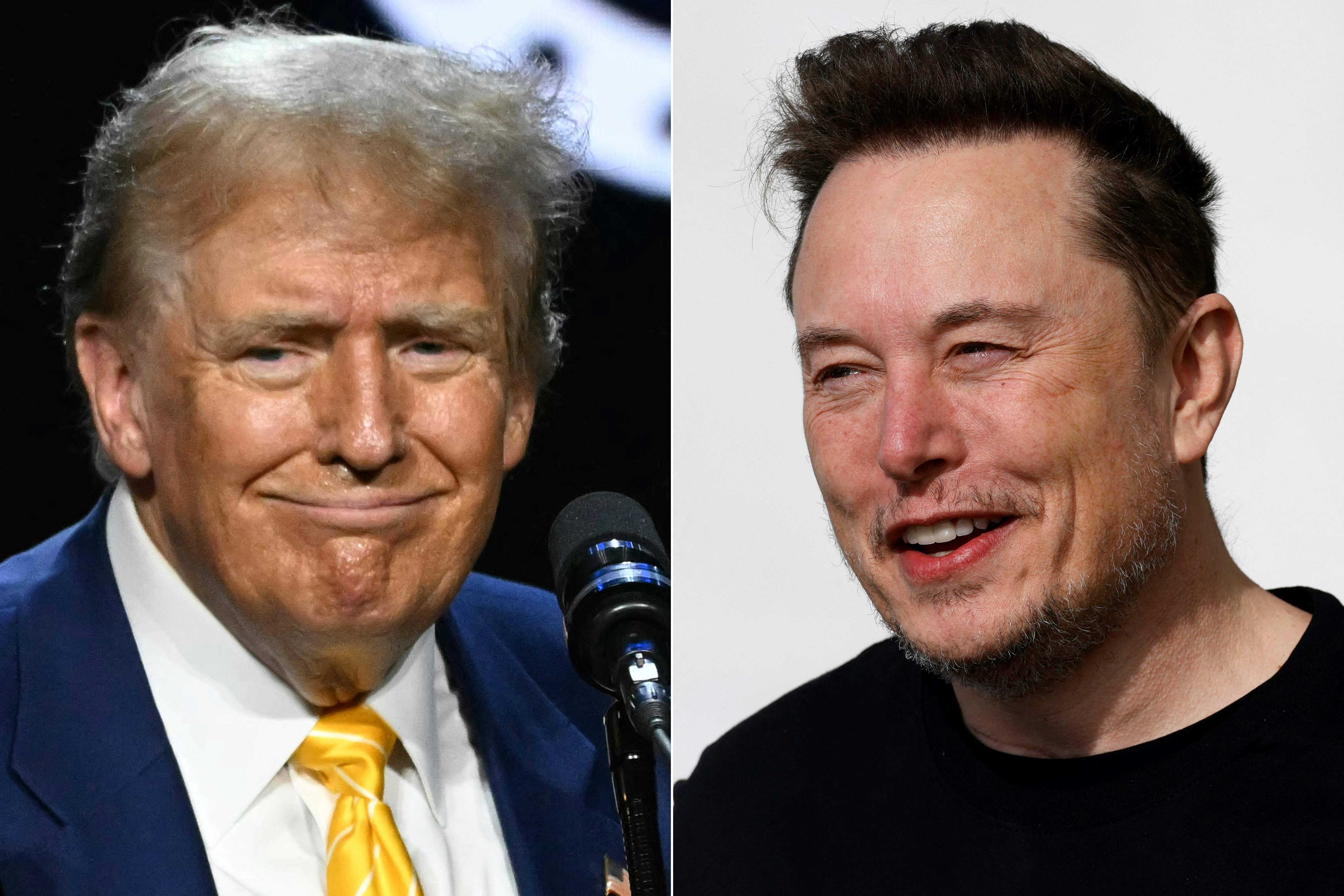 Donald Trump y Elon Musk