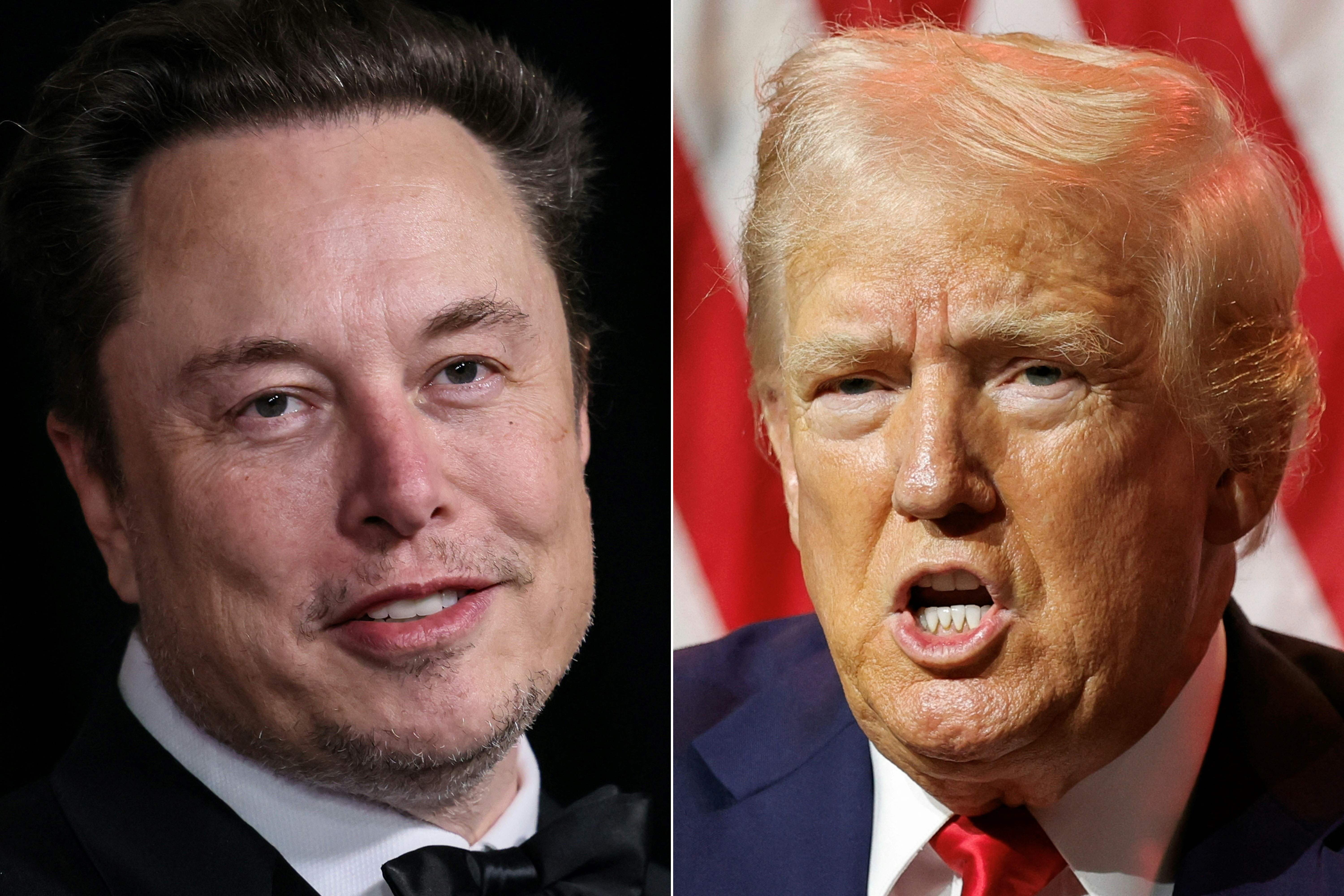 Elon Musk y Donald Trump