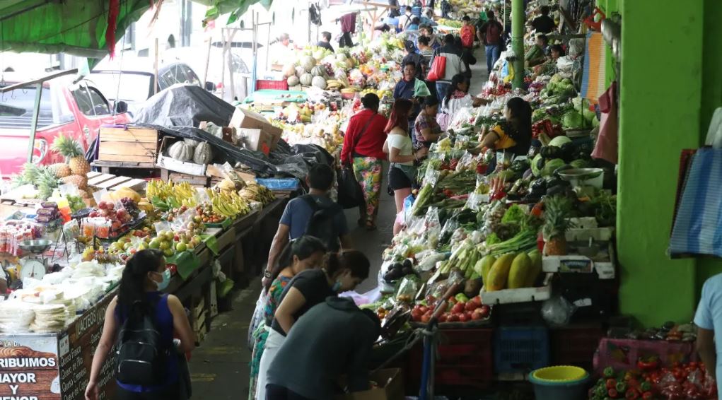 Los precios de los granos básicos como el frijol sigue en aumento, así como el de algunos vegetales y frutas. (Foto, Prensa Libre: Hemeroteca PL).