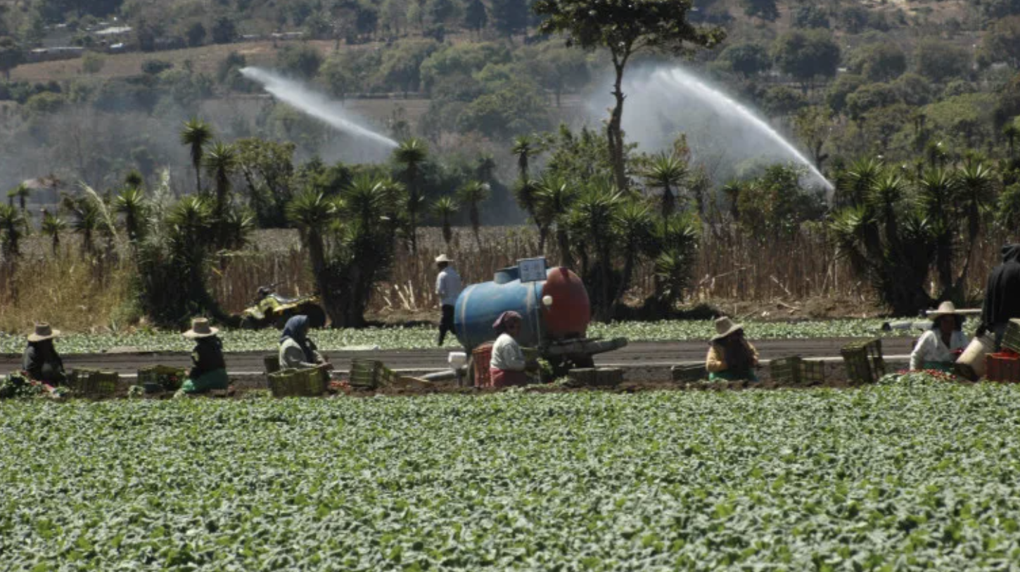 Los salarios mínimos en Guatemala están divididos en dos circunscripciones económicas compuesta por tres actividades en cada una. (Foto, Prensa Libre: Hemeroteca PL).