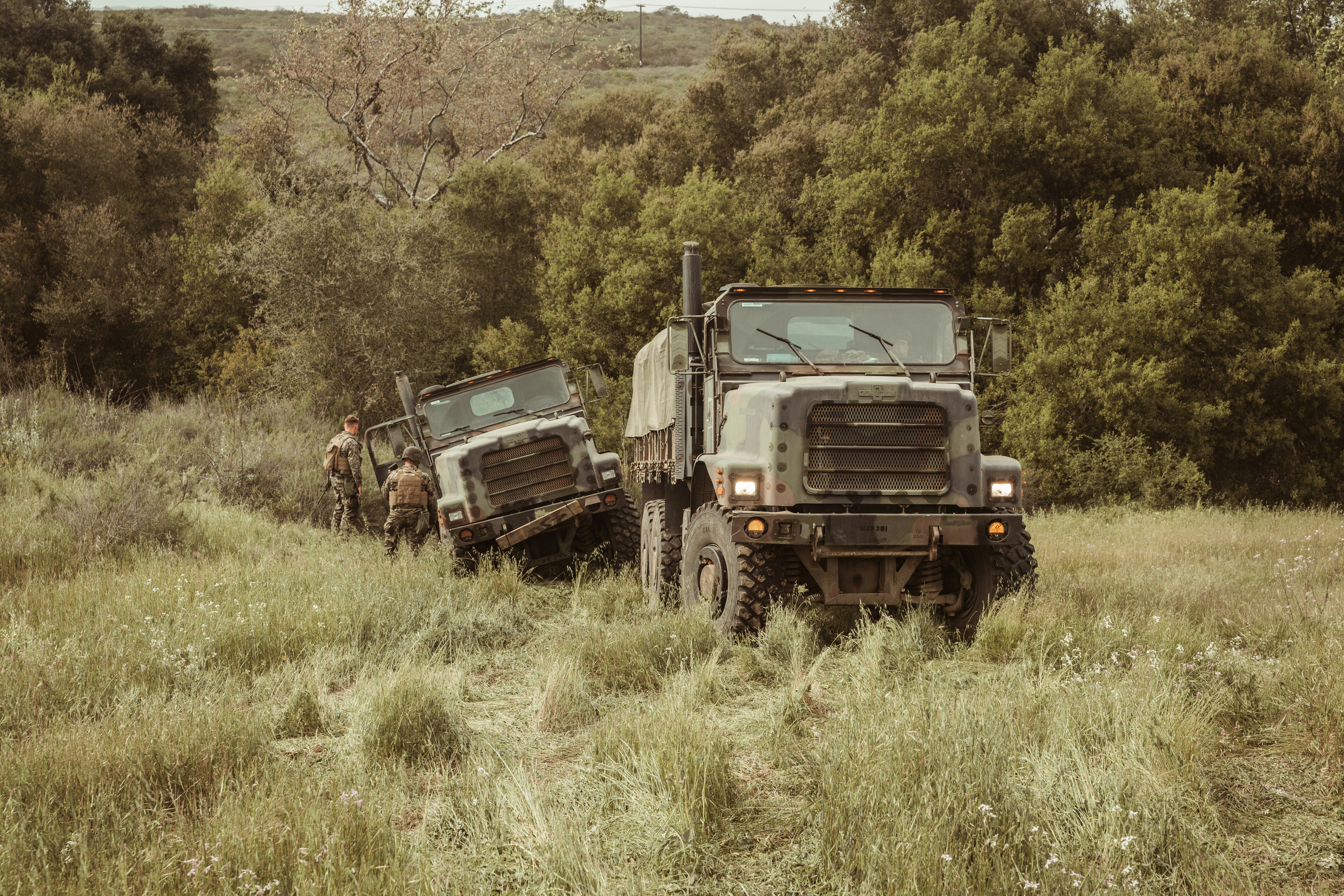 Imagen de referencia. Las fuerzas armadas mexicanas capturaron a un grupo de 21 personas que integran un grupo criminal, entre ellos 4 guatemaltecos. (Foto de referencia. Prensa Libre: Unsplash)