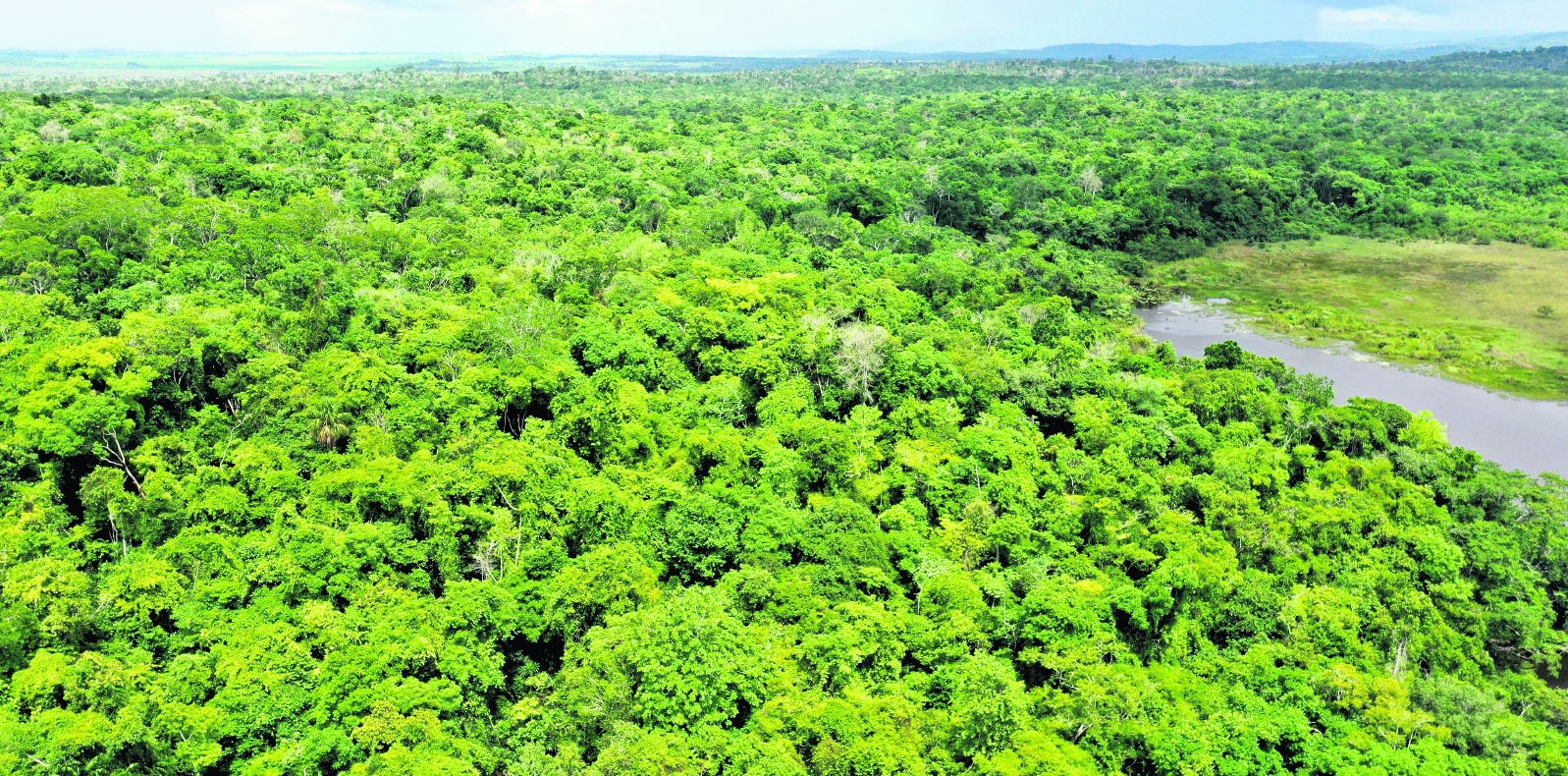 La ubicación de La Laguna Yaloch se encuentra en el departamento de Petén y en el municipio de Melchor de Mencos, se sitúa dentro de la Reserva de la Biosfera Maya. La rodea selva, y es hábitat de reptiles, dentro del lugar se puede apreciar la ciudad maya que la envuelven montañas con clima tropical.
Laguna de Yaloch, se encuentra ubicada a 39 kilómetros de la cabecera principal de Melchor en tiempo de verano es fácil el acceso en transporte liviano. En época de invierno, se recomiendo utilizar vehículos de doble tracción por la temporada de lluvia que tiende a afectar los suelos de la selva.

Foto: BYRON RIVERA 
25/07/2024