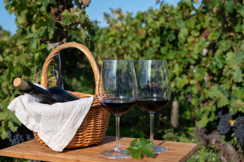 Este vino, resultado del cruce natural entre Cabernet Franc y Sauvignon Blanc, destaca por su alta concentración de taninos y potencial de guarda.

(Foto Prensa Libre: Shutterstock)