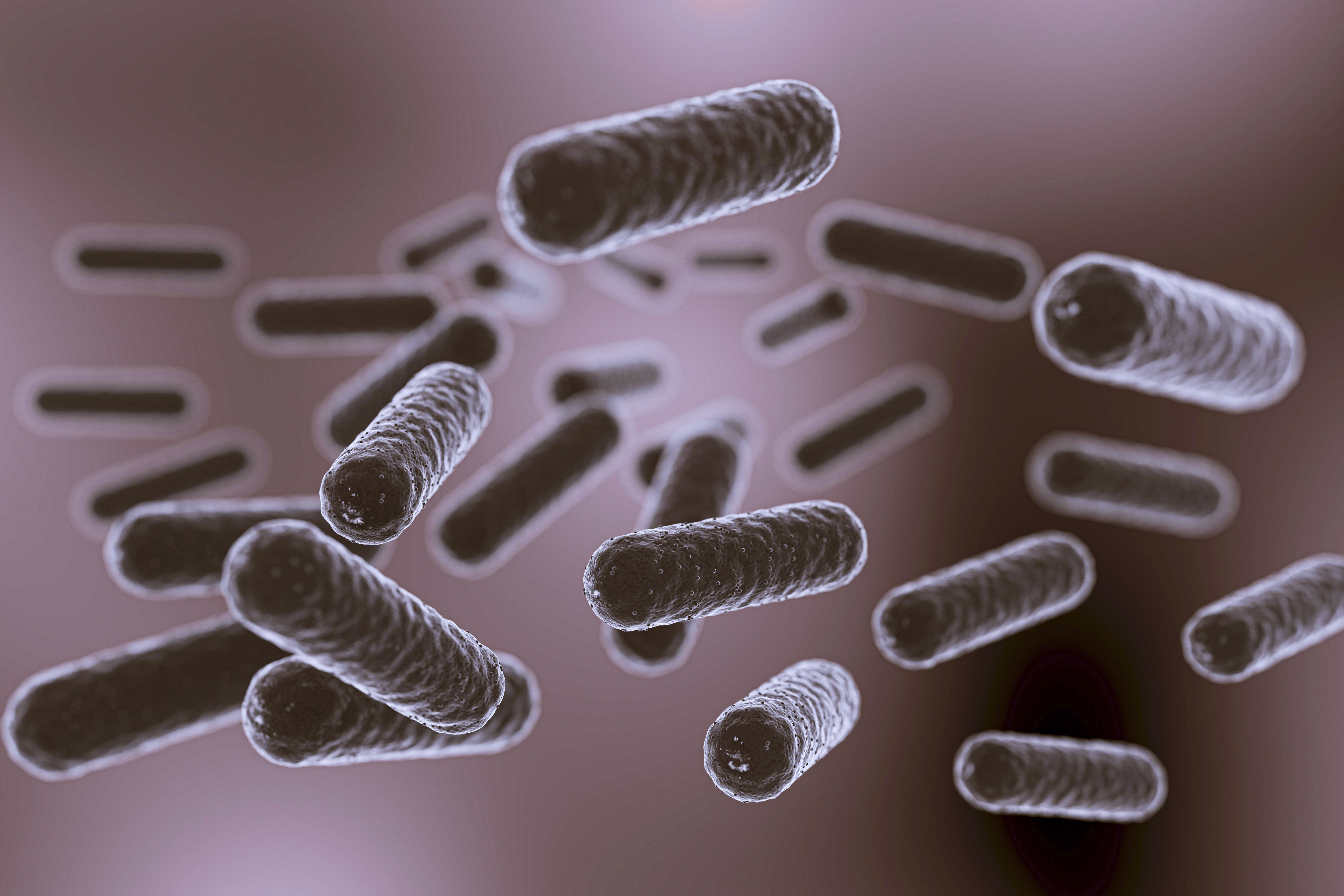 Clostridium difficile es una bacteria intestinal.