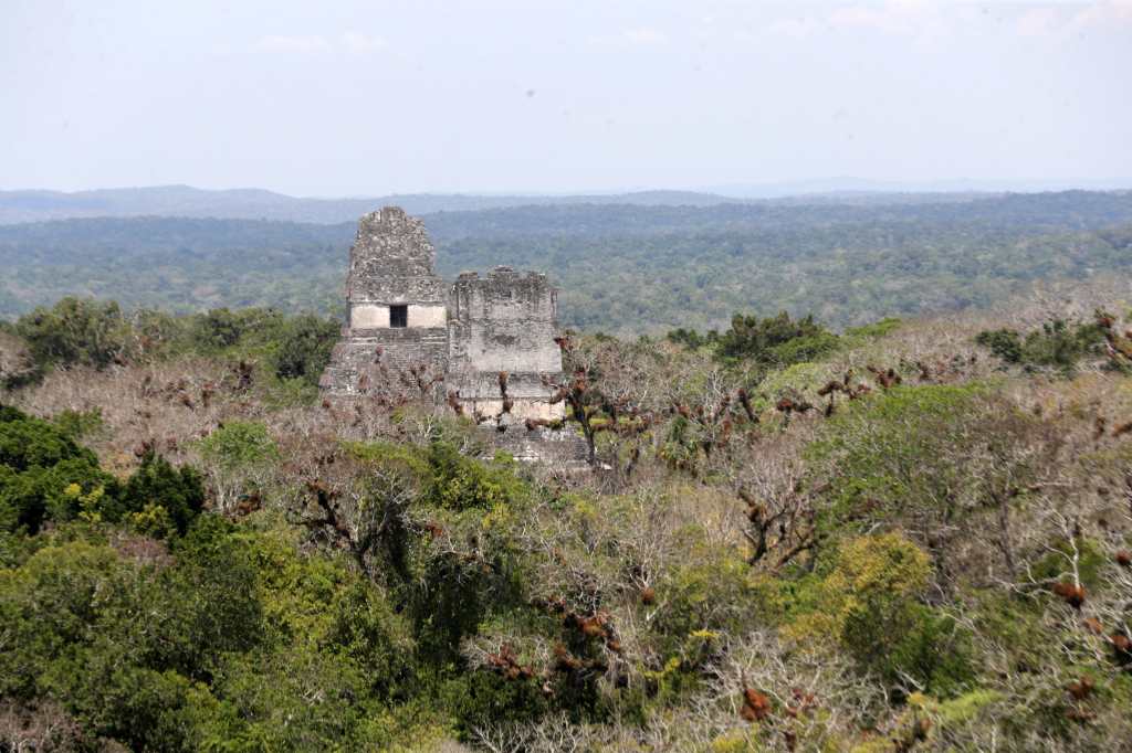 departamentos de Guatemala (Petén)