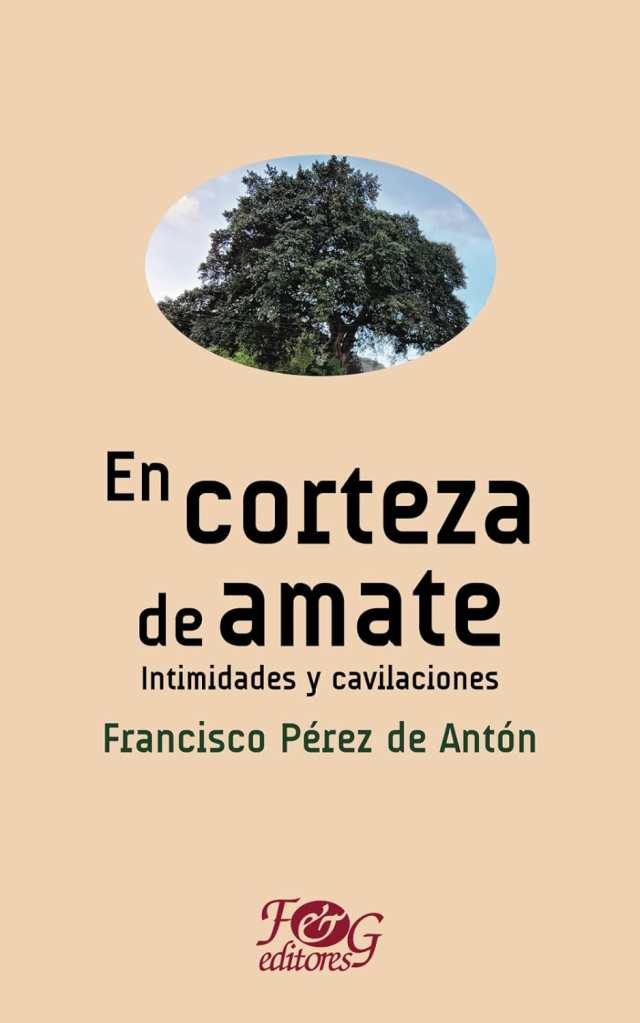 Una lectura crítica y polifónica de Guatemala en las palabras de 11 autores locales