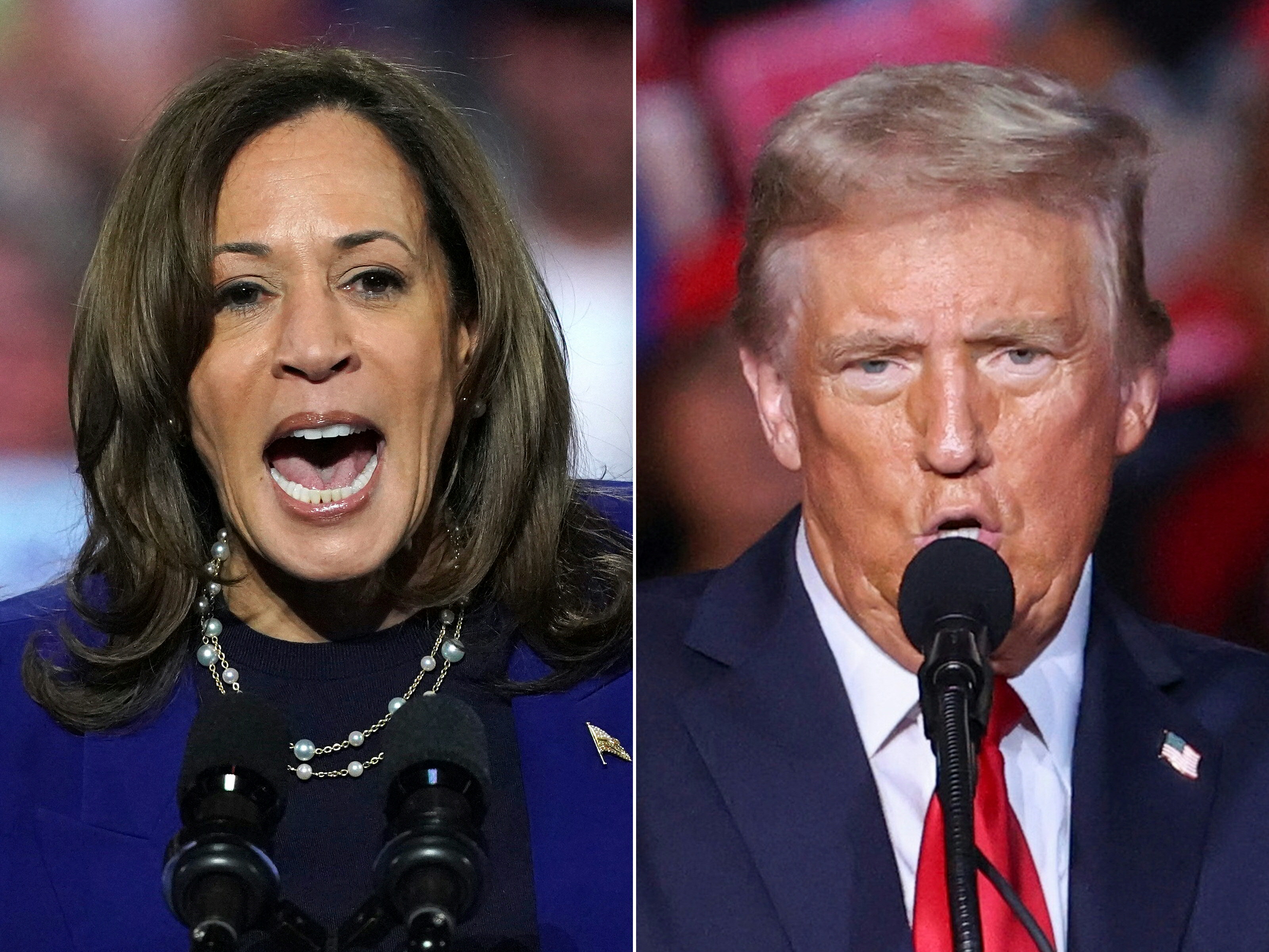 Kamala Harris y Donald Trump buscan el voto latino a un día de las elecciones en Estados Unidos.