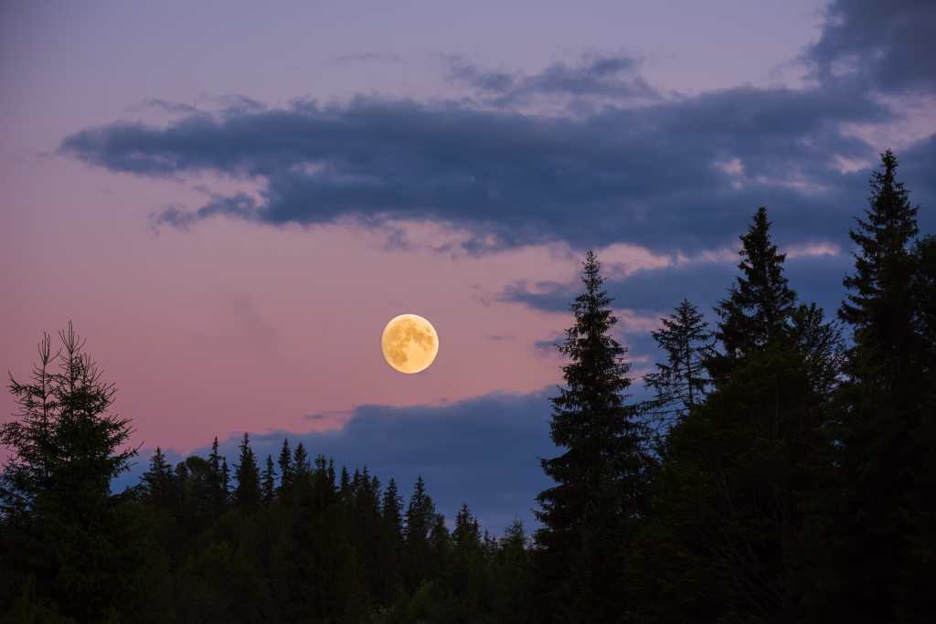 Cuál es nuestra relación con la Luna