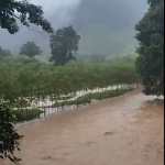 La Conred informó de la crecida de varios ríos en Petén, por la tormenta Nadine. (Foto: Conred)