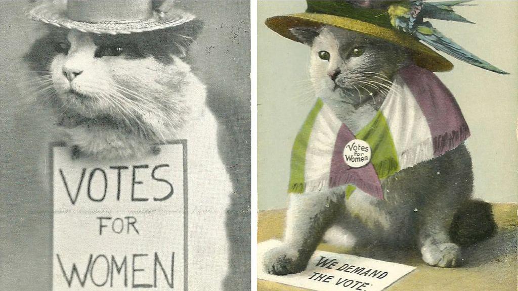 Postales con gatos de la campaña para el derecho de votar para las mujeres (de la colección de Ann Lewis y Myron Sponder).
Ann Lewis y Myron Sponder
