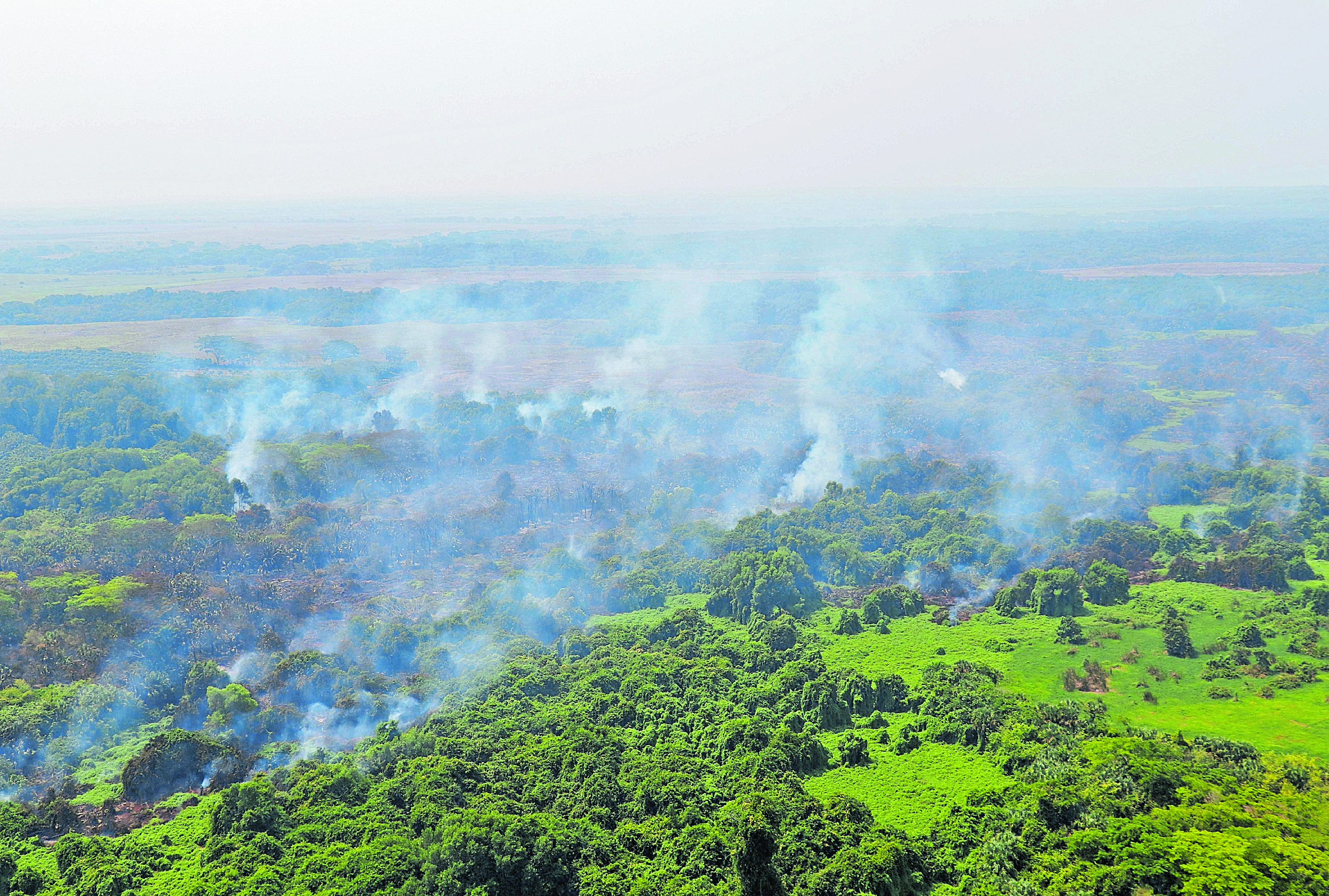 POR ROLANDO MIRANDA.

 

Incendio forestal consume al menos 2 km de mangle en Retalhuleu.

 

Varias hectáreas de mangle son afectadas por un incendio que se originó en el Manchón Guamuchal, Retalhuleu, desde hace cuatro días por causas que se desconocen, informó la Coordinadora Nacional Para la Reducción de Desastres (Conred).

 

Las autoridades informaron que brigadas de bomberos de Retalhuleu y Quetzaltenango combaten el incendio por tierra, y se estima que las llamas se han expandido a unos 2 kilómetros destruyendo la fauna y flora.

 

En un comunicado que dio a conocer el Consejo Nacional de Areas Protegidas (Conap) se informa que el incendio forestal ha afectado al bosque de mangle de las cuatro especies, blanco, negro, rojo y botoncillo; además fauna entre ellos: Mapaches, Tacuazines, Cuerpoespines, iguanas, aves entre otras especies.

 

Pedro Pérez, delegado departamental de la Coordinadora Nacional para la Reducción de Desastres (Conred), informó que el riesgo es que las llamas se extiendan a toda la reserva natural y los cultivos de los pobladores que residen en las comunidades aledañas.

 

“Se ha coordinando con otras instituciones, bomberos de Retalhuleu y Quetzaltenango para combatir el siniestro que ha acabado con gran parte de la vegetación del lugar, y si no se actúa de inmediato se puede complicar”, indicó Pérez.